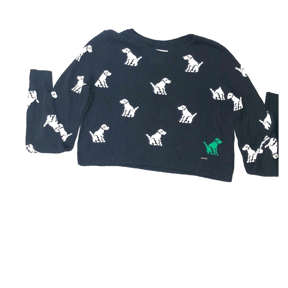 Abercrombie & Fitch M navy puppy sweater.